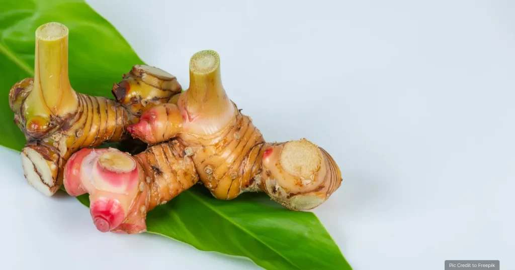Galangal Most Expensive Spice