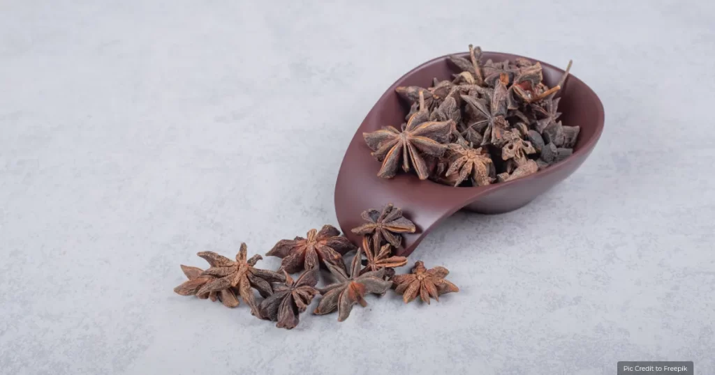 Star Anise Most Expensive Spice